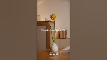 من سورة الصافات -القارئ ياسر ممدوح - تلاوة خاشعة
