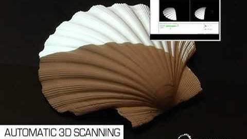 3D scanning of a shell in marble