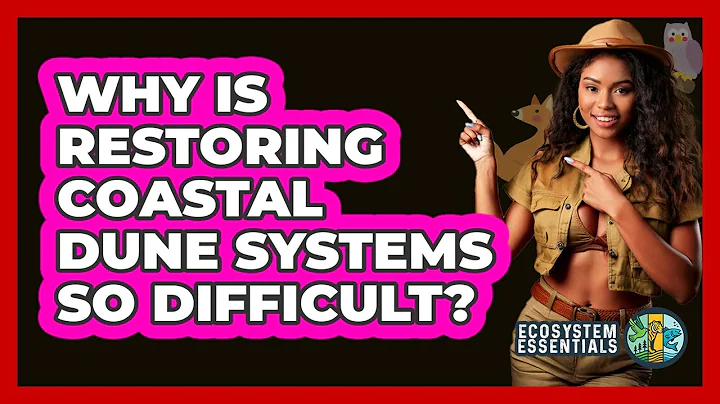 Why Is Restoring Coastal Dune Systems So Difficult? - Ecosystem Essentials