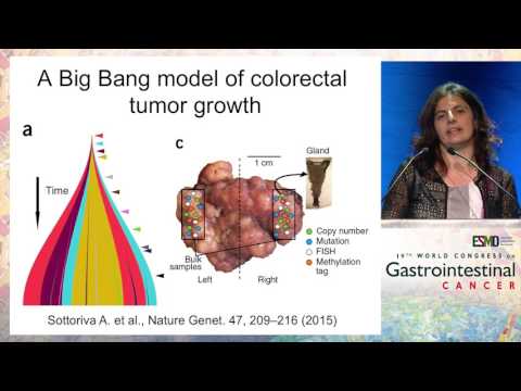 Video: Bör Anti-EGFR-mAbs Avbrytas För Omvandlingskirurgi Vid Obehandlad Högsidig Metastaserande Kolorektal Cancer? En Systematisk Granskning Och Metaanalys