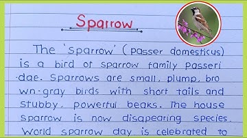 write short essay on sparrow bird | Essay On " Sparrow " in english | Essay on Bird | The Sparrow