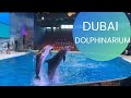 DUBAI Dolphinarium || Enjoying Moments with NIÑA