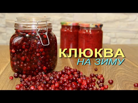 Как сделать сироп из клюквы в домашних условиях