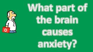 What part of the brain causes anxiety ...
