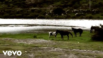 Gabriel Marchisio - Viajante (Official Video).