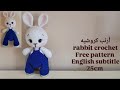 ارنب كروشيه 1 2 25cm Crochet Rabbit اميجرومي English Subtitle Amigurumicrochet Crochet Handmade 