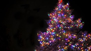 Wheaton College Advent Devotional: Merry Christmas from Wheaton College!