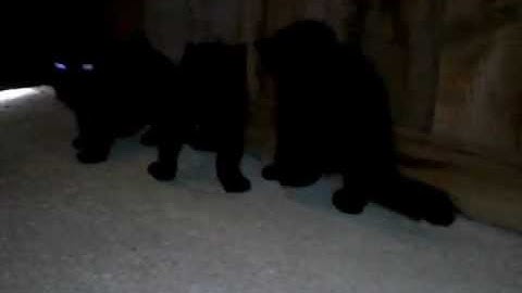 video-2012-03-22-08-41-16.mp4