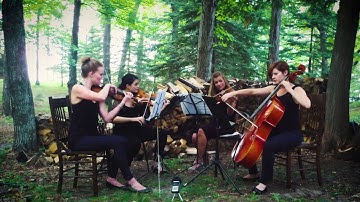 The Scientist by Coldplay - string quartet cover (Thalia Strings)