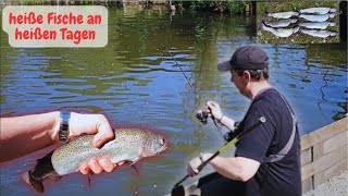 Forellenangeln mit Gummiköder Powerbait Garlstedter Fischzucht Ultralight Angeln Pose