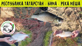 Рыбалка в Татарстане - Бима - Река Мёша