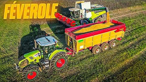J'ESSAIE DE CONTINUER LES RÉCOLTES (1 mois dans ma peau 16/31)