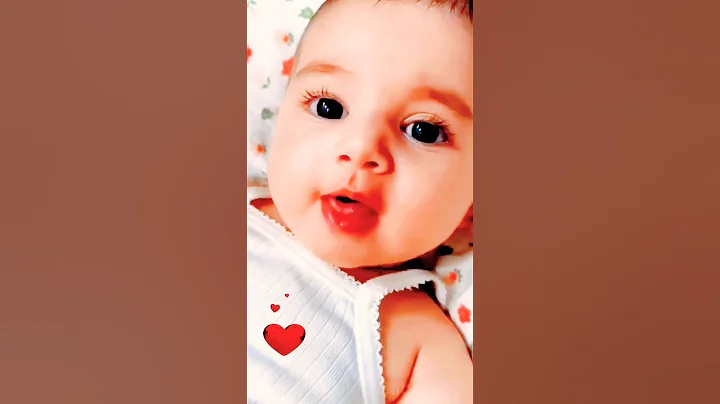 Video 9713911: cats catlover kitty cute, kitty catlover cats funny, kitty fun