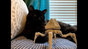 Real Life Apex Legends Loot Tick! (Not Clickbait)