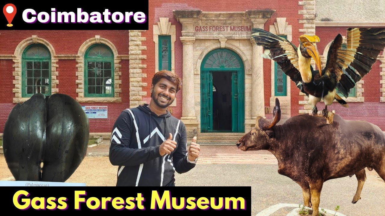 Gass Forest Museum Coimbatore | 40 Rs only |