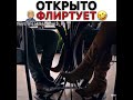 Открыто флиртует с Серканом😂/Постучись в мою дверь