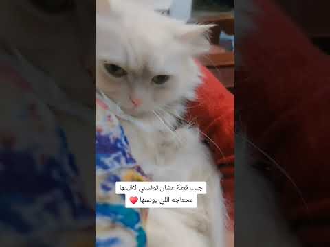 عمر ما حد طلع من الحب امسك في حبيبك