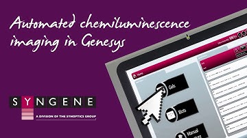 G:Box Chemi XRQ Tutorial