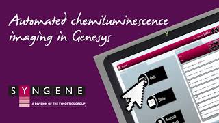 G:Box Chemi XRQ Tutorial