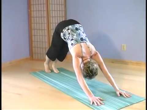 Vinyasa Flow Yoga - Mandala Namaskar I