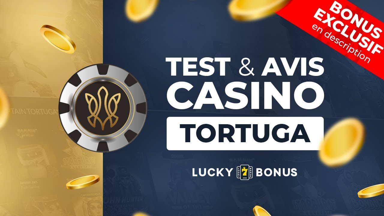 100 leçons apprises des pros sur Bonus Tortuga Casino