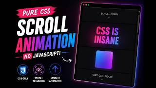 CSS is INSANE 🤯 Scroll Animation Tutorial Net Worth