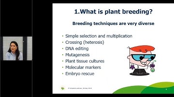 Introduction to Plant Variety Protection in Europe - CPVO Orsola Lamberti
