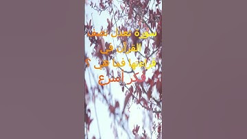 #سورة تعدل نصف القرآن في قراءتها/ #اسئلة_دينية_مع_الحل/ #أسئلة_ثقافية/#ستوريات_الواتس