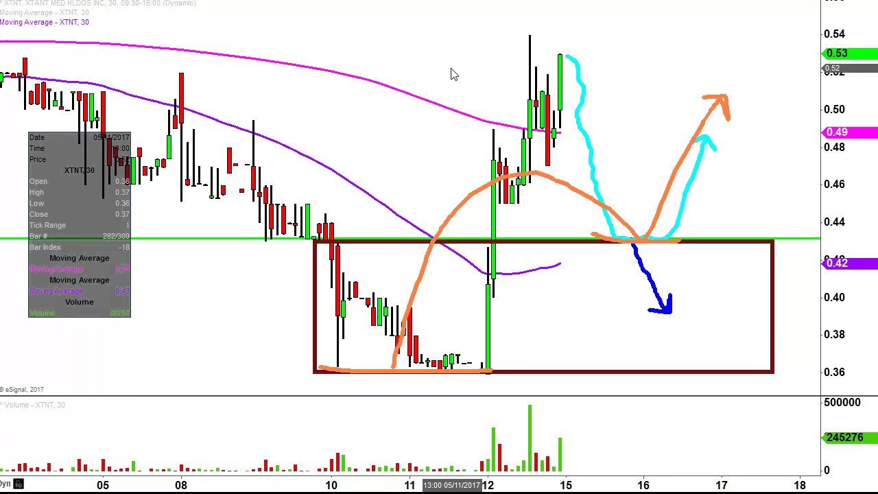 Xtnt Stock Chart