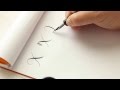 The letter x  basic calligraphy tutorial