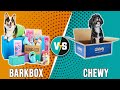 Barkbox vs chewy which one is better for your dog dont buy until you watch this