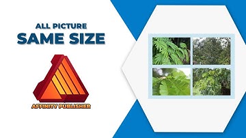 How to make all picture the same size in affinity publisher