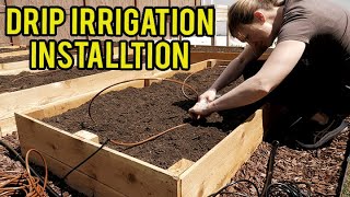 Upgrade Your Urban Homestead with Drip Irrigation System