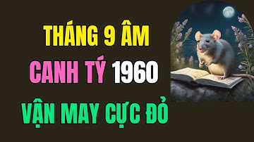 Tử Vi Tháng 9 Âm. Tuổi Canh Tý 1960: Vận May Cực Đỏ, Trúng Lớn Phát Tài, Tiền Tỷ Về Tay