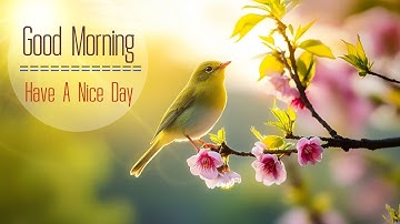 MORNING RELAXING MUSIC - Positive Feelings and Energy - Calming Music For Meditation, Yoga, Healing