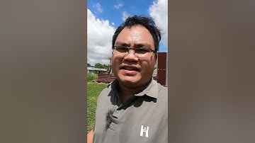 Ưu và nhược điểm cỏ lá gừng thái #colagung #cosanvuon #codau #conhungnhat #sanvuon