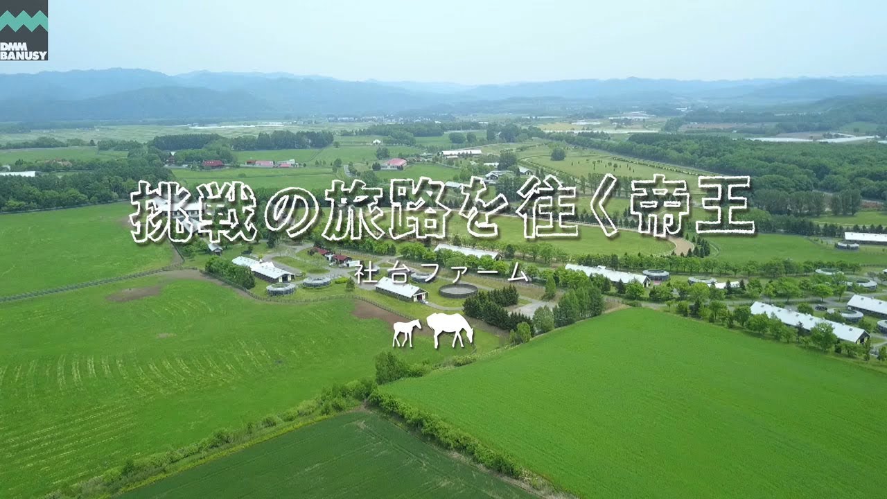 社 台 ファーム