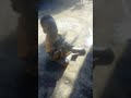 Mtoto Kashikwa Ki Uchawi Leo Jioni Mtaa Wa Shinyanga