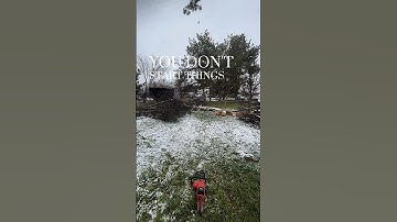 Comment “💪🏼” if you dont give up! #motivation #dailymotivation #trees #oddlysatisfying #timelapse