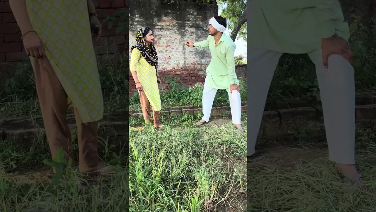 धान की पलारी कल्लों ने लगाई वाट #video #comedyvideos #funnyvideo #treandingvideo 