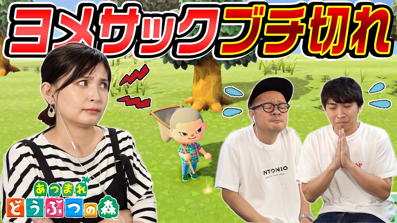 【あつ森】ダラダラしていたらヨメサックに怒られました #6