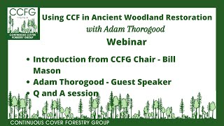 Using CCF in Ancient Woodland Restoration with Adam Thorogood