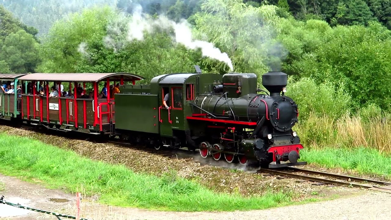 Bieszczadzka Kolejka Leśna 2021 Parowozem do Dołżycy