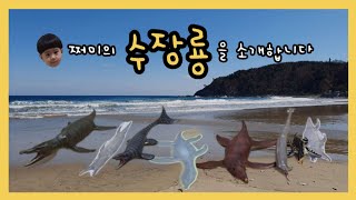 쩌미의  바다 공룡 수장룡 소개하기! screenshot 1