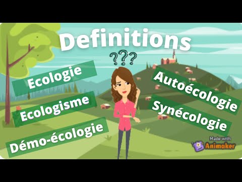 L&rsquo; écologie et ses 3 branches ?🤔 (Définitions avec des exemples )