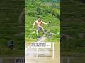 Surfing the "most beautiful terraces in China"! 🏄♂️🌾