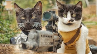 ЛУЧШИЕ ПРИКОЛЫ с животными 2020! №16 Смешные коты,собаки новинки видео