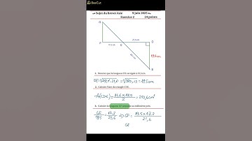 Brevet 2025 ASIE Ex2 Géométrie #brevet2025