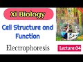 Electrophoresis class 11 in Sindhi IBA junior science teacher Sindh text book board