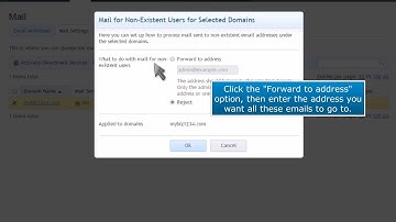 Plesk: How to Create a Catch-All Email Account